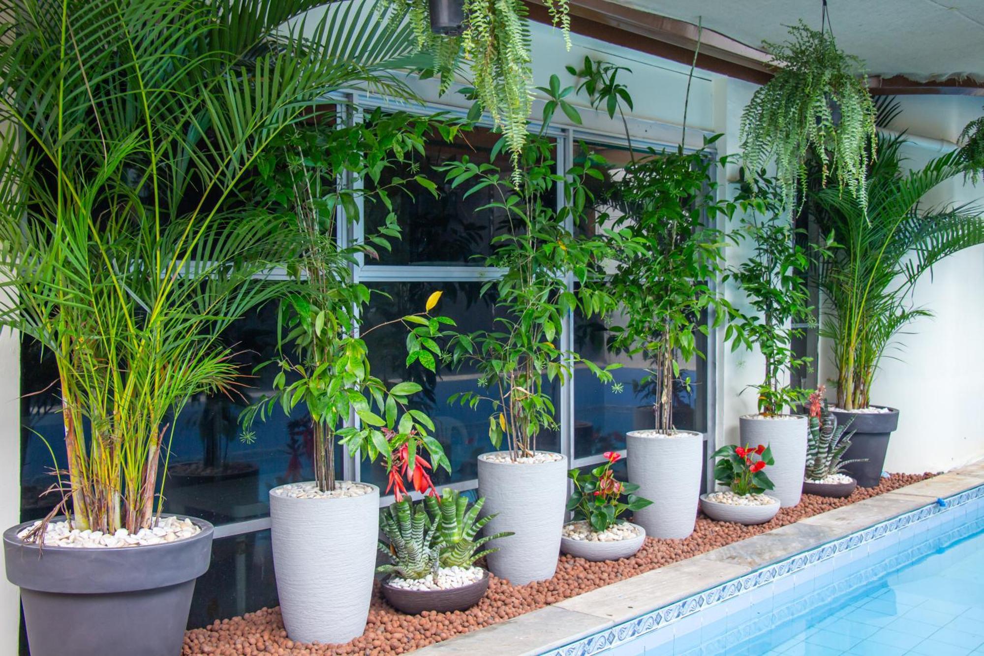 Prestige Manaus Hotel 외부 사진